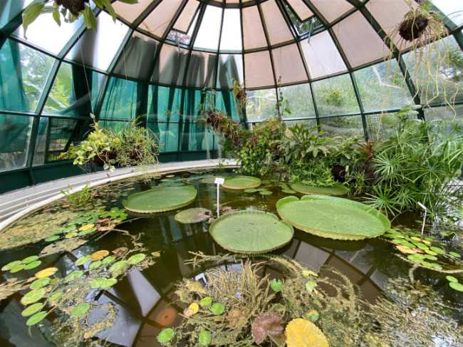 Botanical Garden of the Faculty of Science
