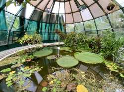 Botanical Garden of the Faculty of Science
