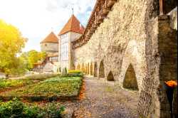 Danish King's Garden