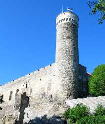 Pikk Hermann Tower
