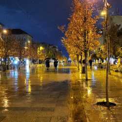 Mother Teresa Boulevard