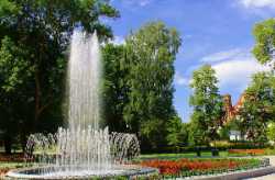 Bernardine Garden