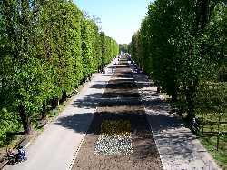 Smetana Park