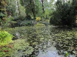 Luft Garden