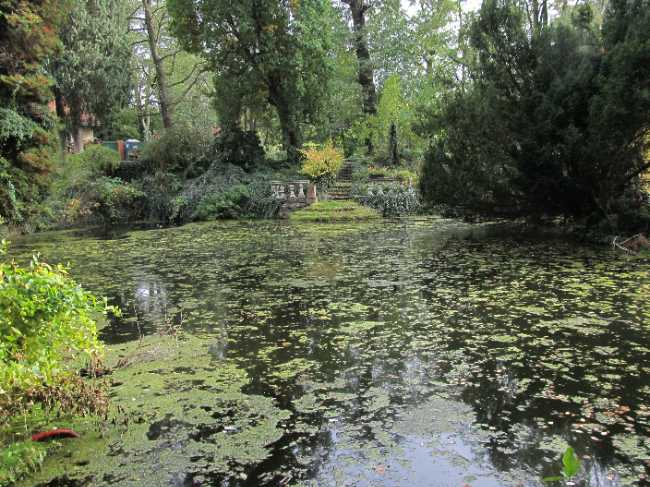 Luft Garden