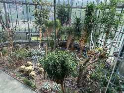 Liberec Botanical Garden
