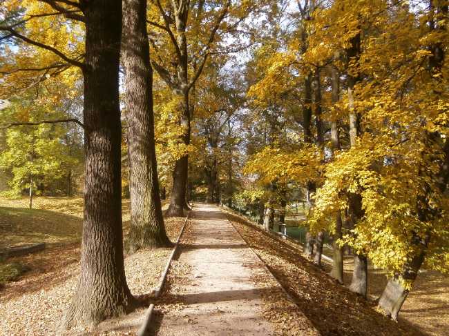 Šimkovy Gardens