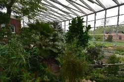 Botanical Garden of Medicinal Plants