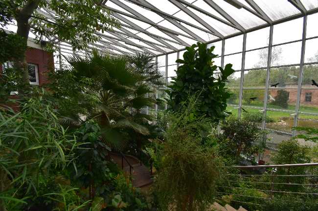 Botanical Garden of Medicinal Plants