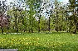 Mestský Park