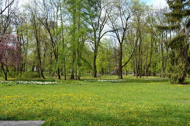 Mestský Park