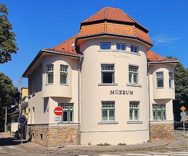 Vila Doktora Lisku