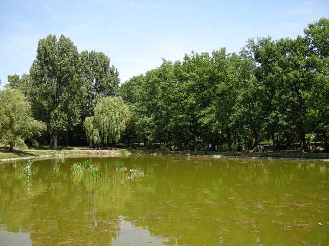 Nagyerdő Park