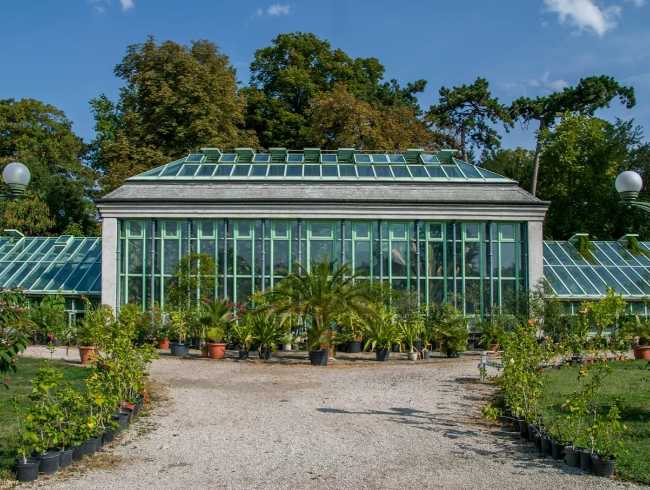 Palm House