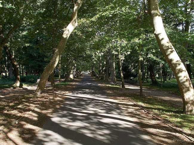 Helikonpark