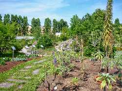 Botanischer Garten der Universität Salzburg