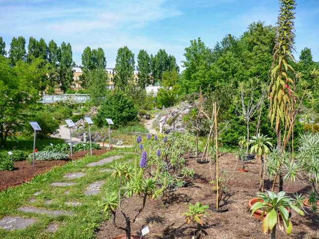 Botanischer Garten der Universität Salzburg