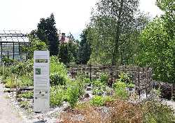 Innsbruck University Botanical Garden