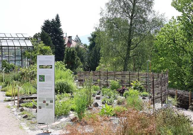Innsbruck University Botanical Garden