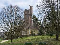 Freinberg Park