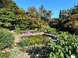 Linz Botanical Garden