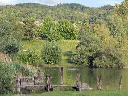 Irchelpark