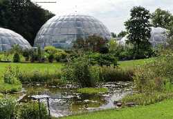 Botanical Garden of the University of Zurich