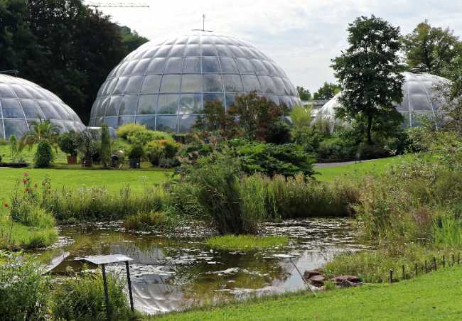 Botanical Garden of the University of Zurich