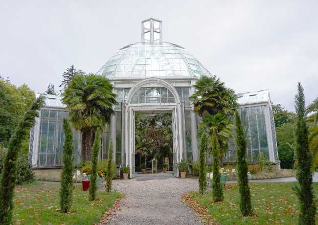 Jardin Botanique de Genève