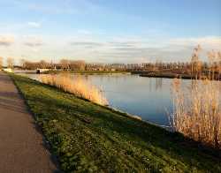 Burgemeester Reinaldapark