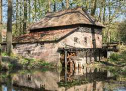 Nederlands Openluchtmuseum
