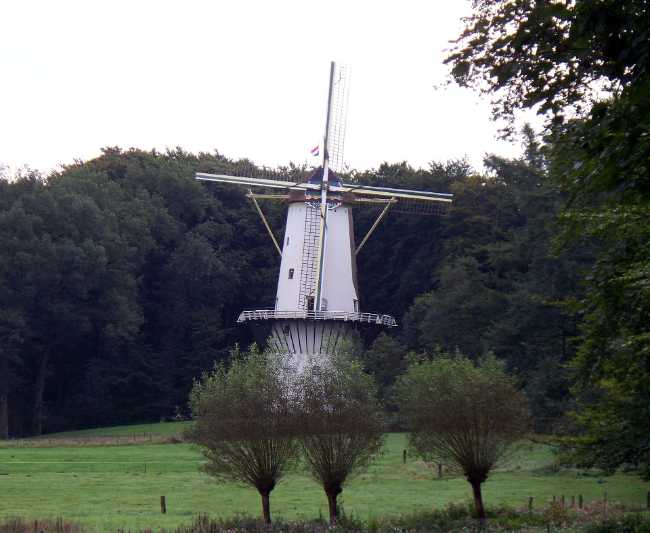 Het Fortuyn Windmill