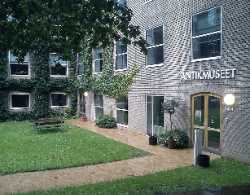 Museum of Ancient Art