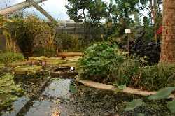 Botanical Garden Greenhouses