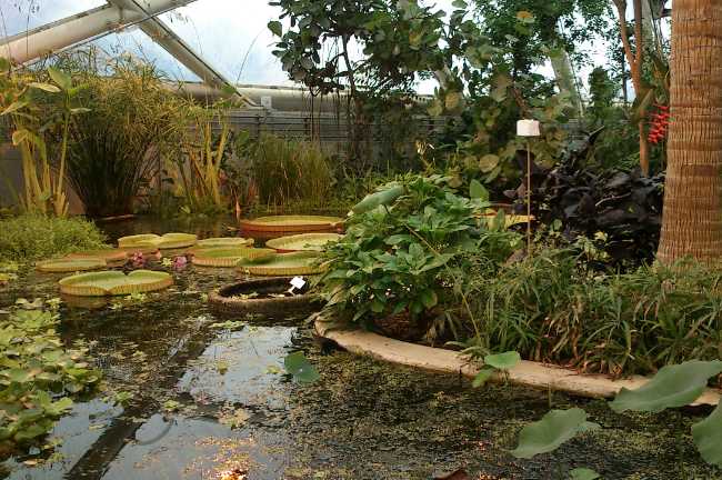Botanical Garden Greenhouses