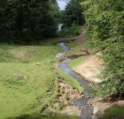 Marselisborg Deer Park
