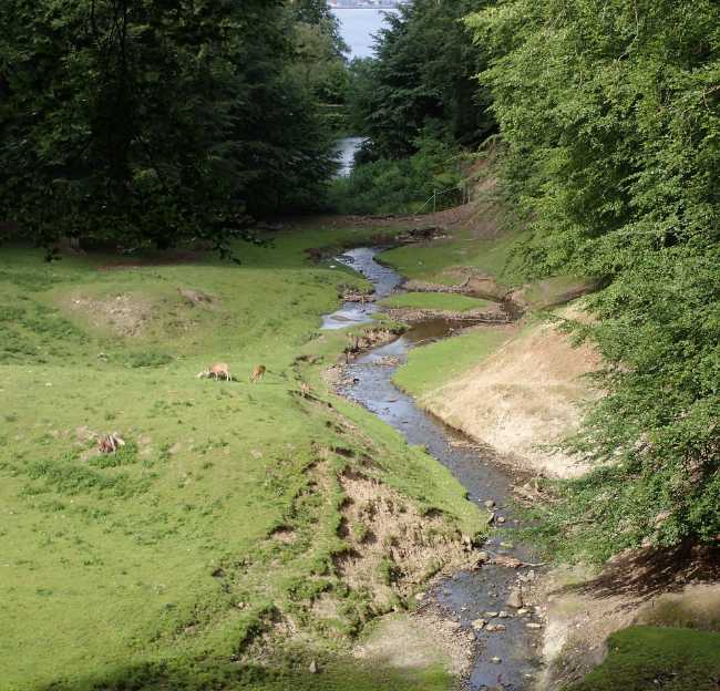 Marselisborg Deer Park