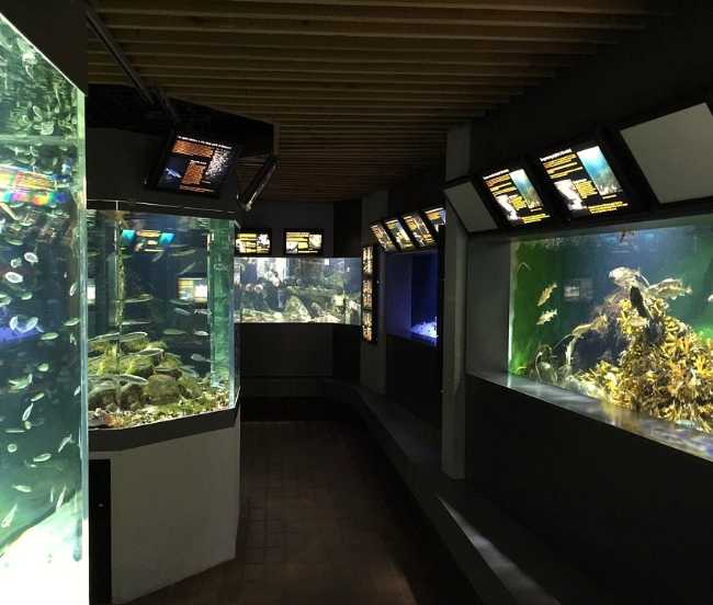 Øresund Aquarium