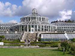 The Botanical Garden