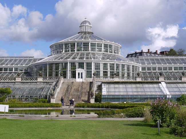 The Botanical Garden