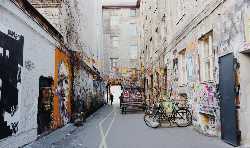 Dead Chicken Alley