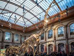 Museum für Naturkunde