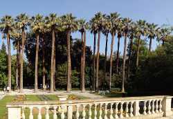 National Garden of Athens