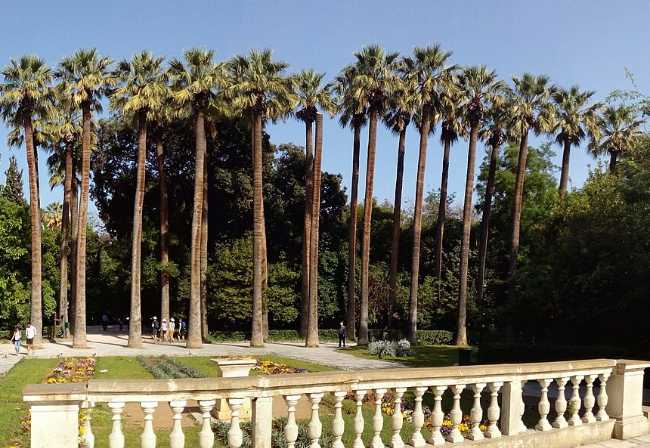 National Garden of Athens