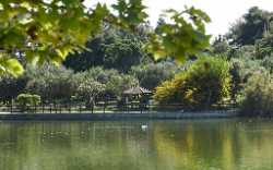 Antonis Tritsis Park