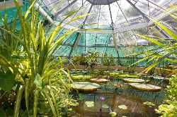 Budapest Botanical Garden
