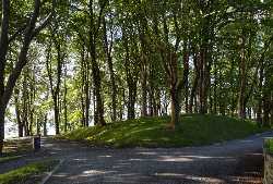 Nordnes Park