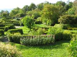 NTNU Ringve Botanical Garden