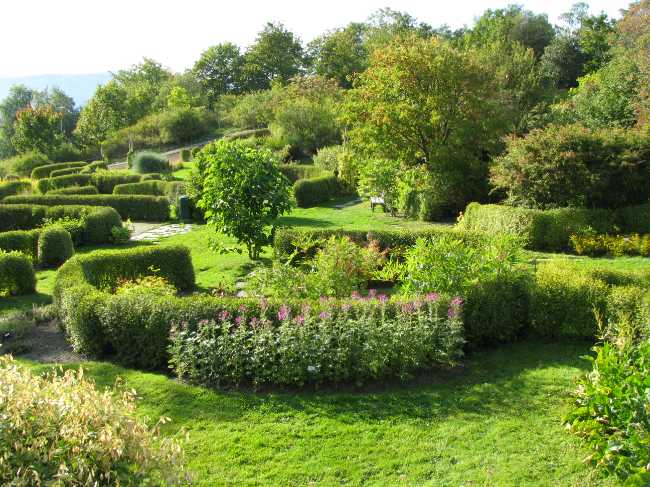 NTNU Ringve Botanical Garden