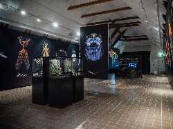 Natural History Museum and Botanical Garden, University of Agder
